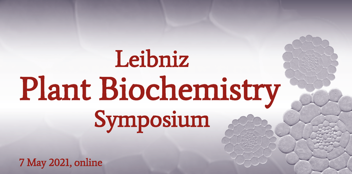 Register now for the Leibniz Symposium on Plant Cell Walls